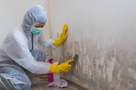 Best Comprehensive Air Testing for Mold Contaminants  in Garden City, KS